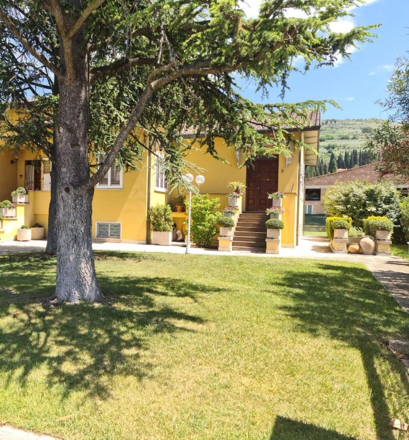 La Finestra Su Spello Διαμέρισμα Εξωτερικό φωτογραφία